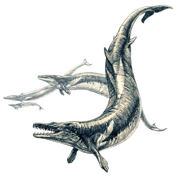 al-state-fossil-basilosaurus.jpg