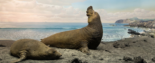 vCx2RzIpeMEkbd8Zu5BAp_BtrbOYabIis5MLK5zASUIuDriMOwvnIDMVEaoL3w