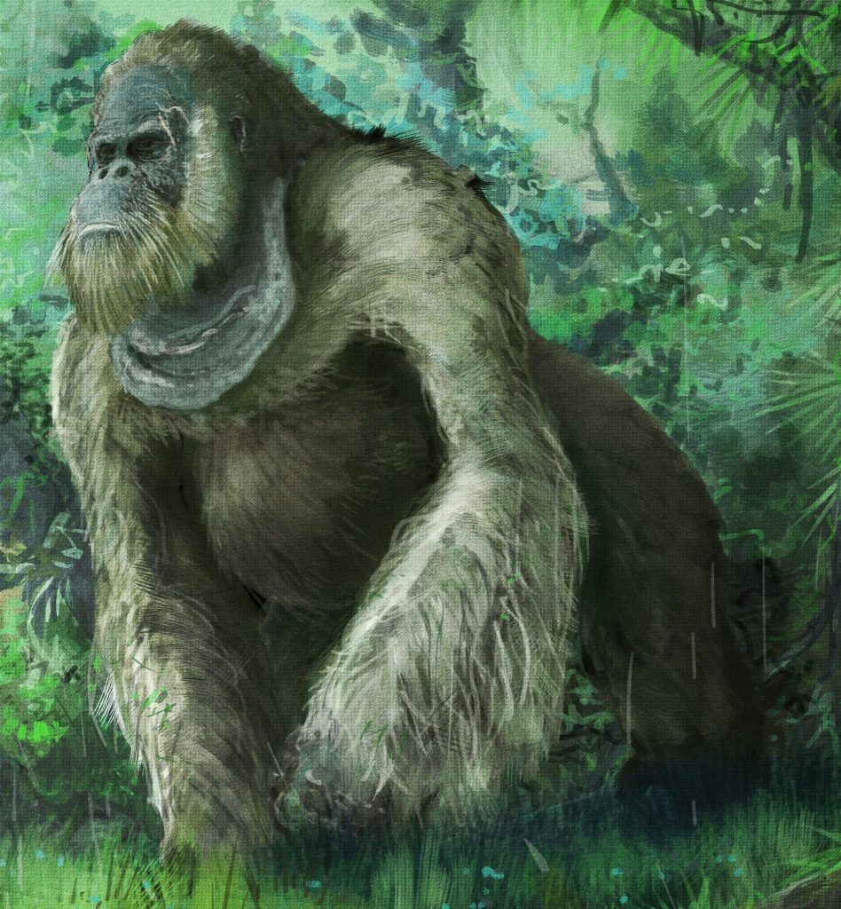 Gigantopithecus-Blacki-948x1024.jpg