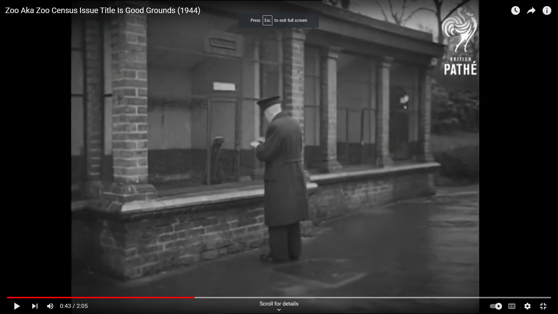 42-northern-aviary-1-jpg.433998