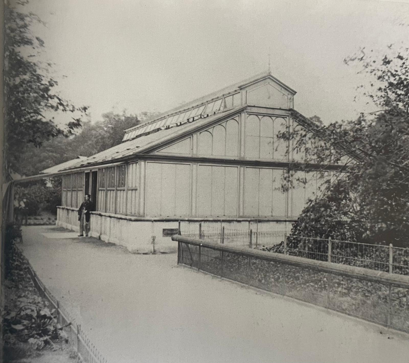 37-diving-birds-house-4-jpg.427084