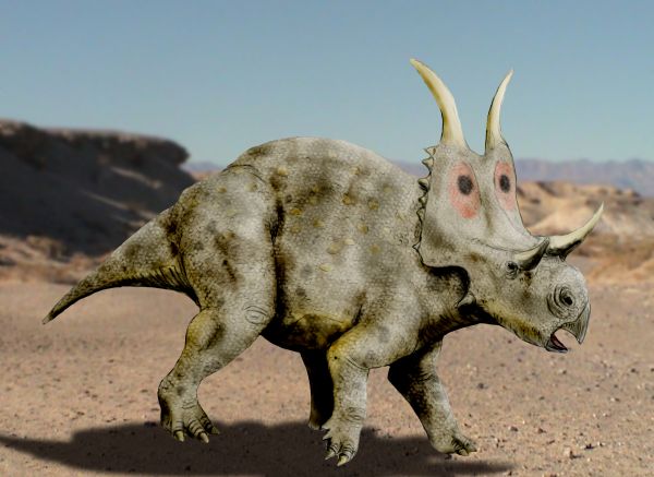 Diabloceratops_NT.jpg