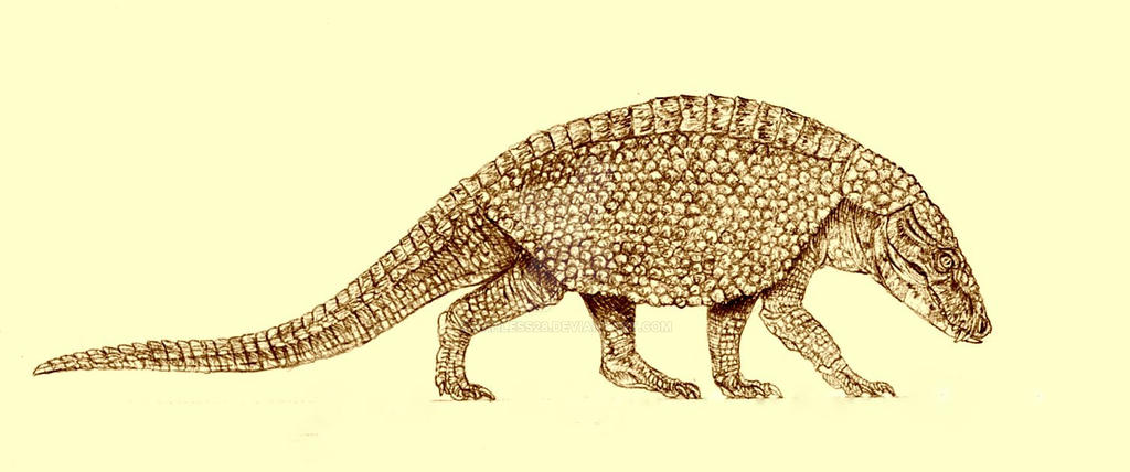 armadillosuchus_by_kahless28-d62csbi.jpg