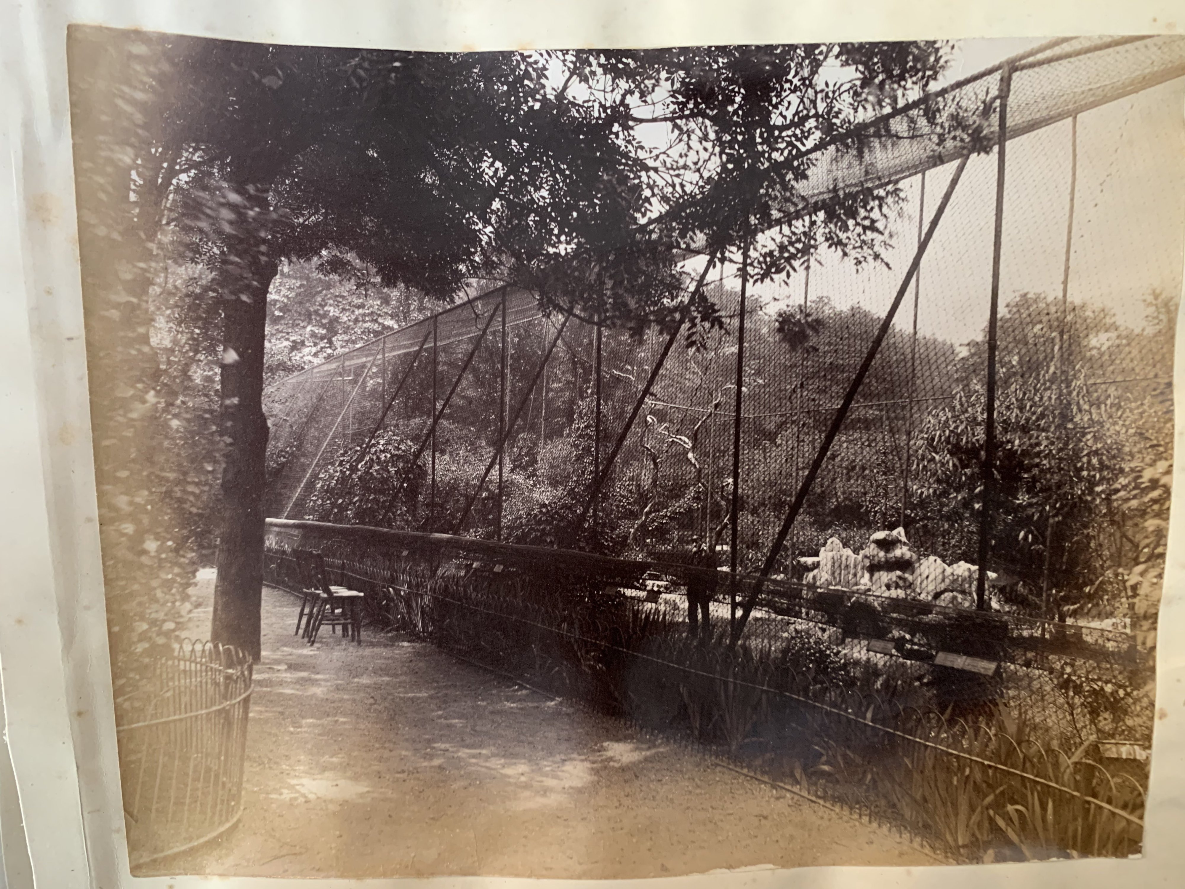 17-great-aviary-10-jpg.385950