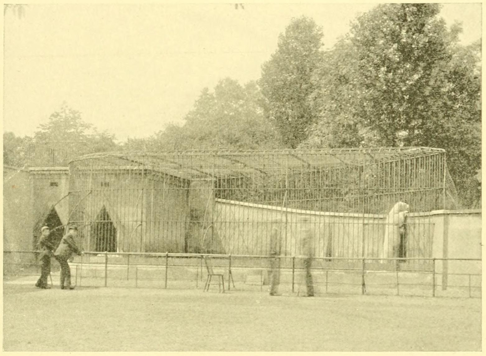 15-polar-bear-9-jpg.371819