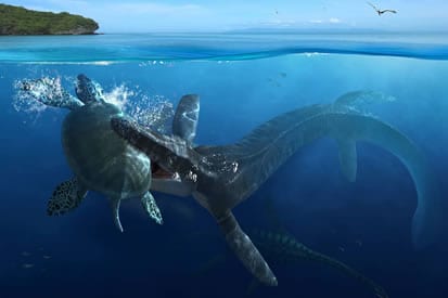 pc_tylosaurus.jpg