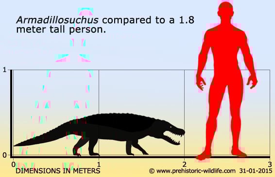 armadillosuchus-size.jpg