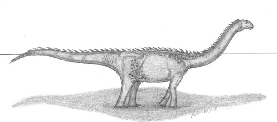 Epachthosaurus_sciuttoi_by_EmperorDinobot_3456.jpg