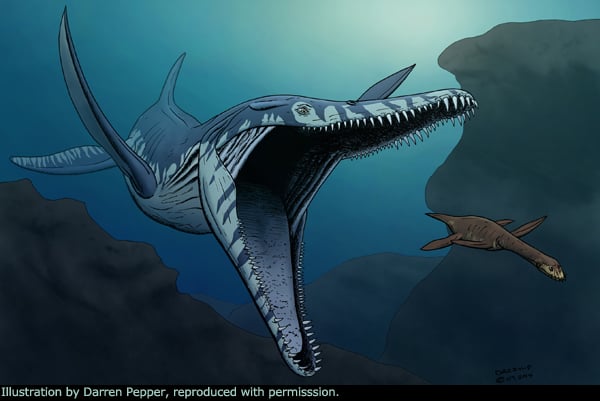 pliosaurus.jpg