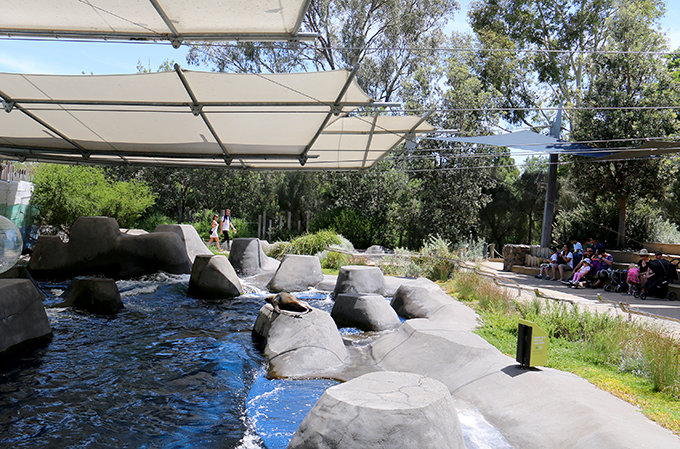 Melbourne-Zoo-Seal-Enclosure.jpg