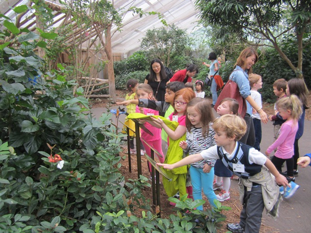 butterflyzoo2012a.jpg