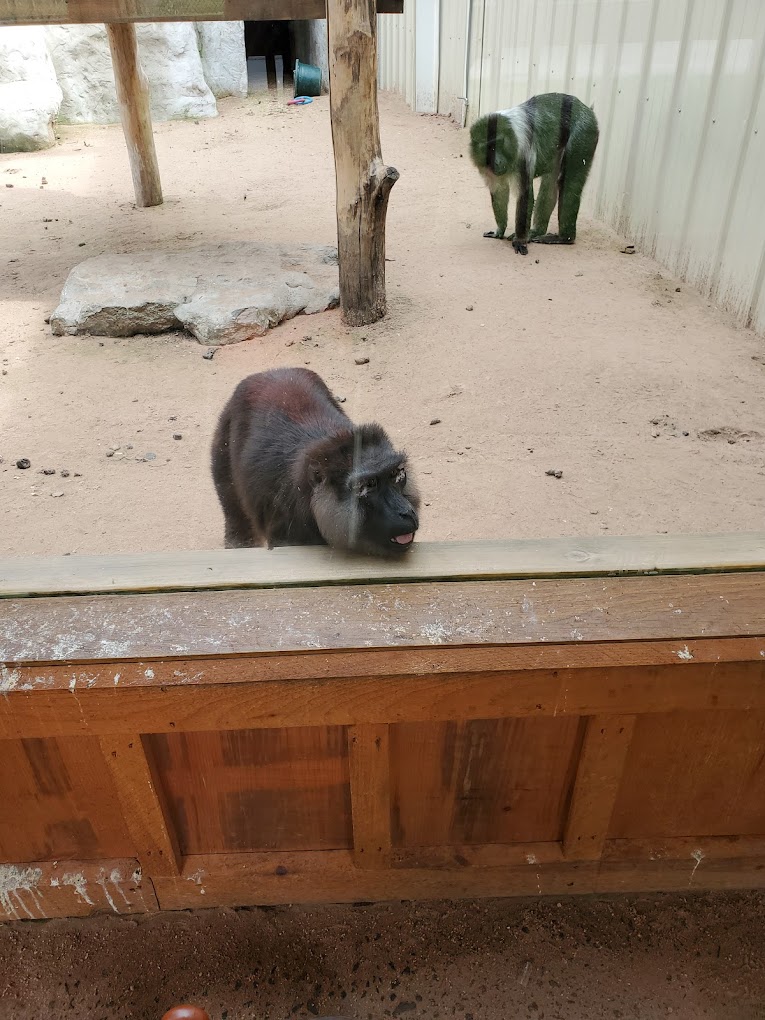 AF1QipPMKQCNUqguIGfxNPS0hD12JUE_5Uskn0zxBwYQ=s1360-w1360-h1020