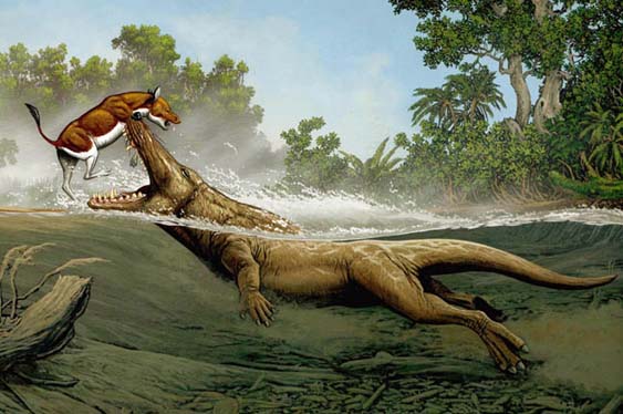 Ambulocetus.jpeg
