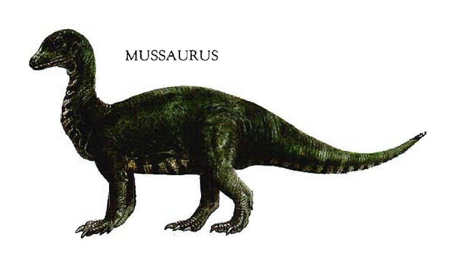 mussaurus_e8e7.jpg