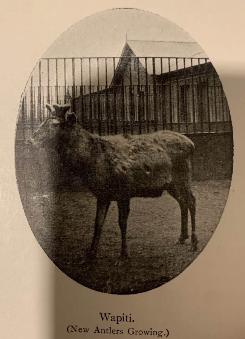 32-wapati-house-1-jpg.422103