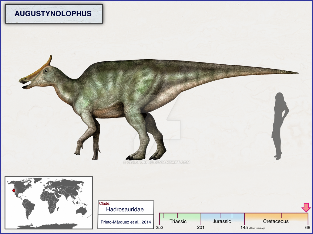 augustynolophus_by_cisiopurple-db3ut9s.png