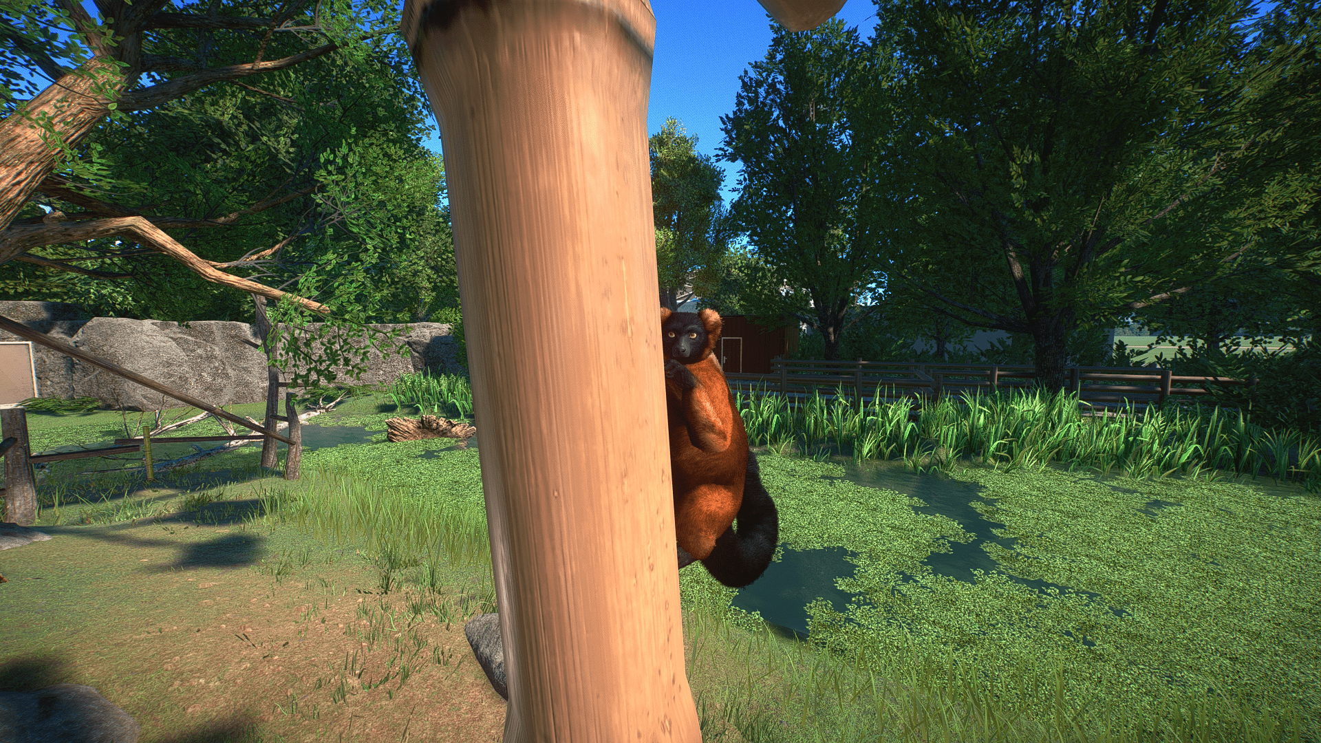 planet-zoo-screenshot-2023-01-31-15-46-11-56-png.343753