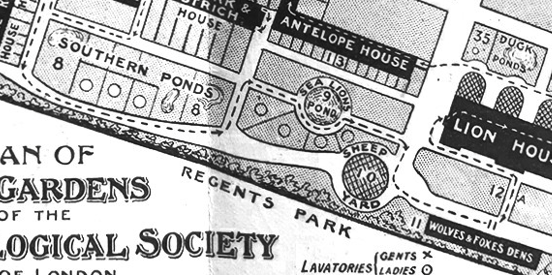 1693924172422-png.366249