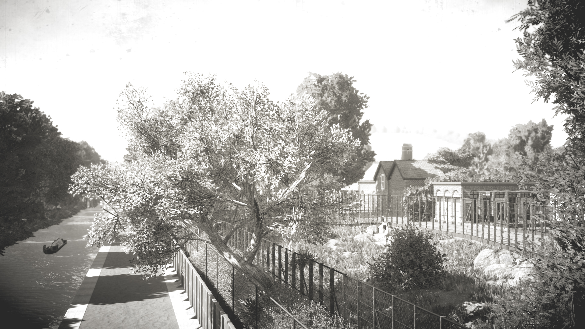 cranes-paddocks-1-jpg.434005