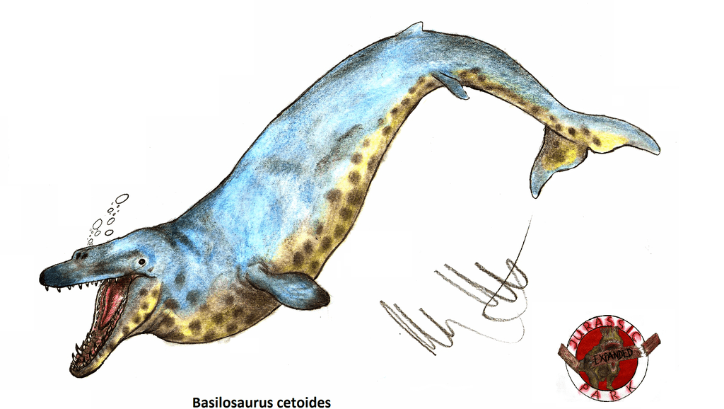1169_basilosaurus_robinson_kunz.png