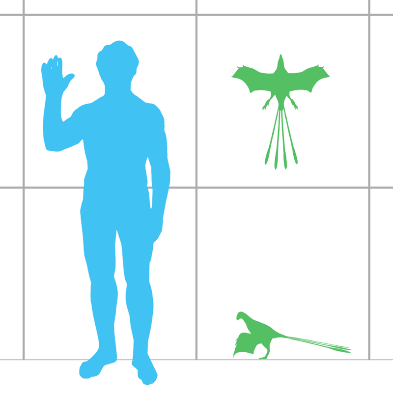 800px-Yi_scale.png
